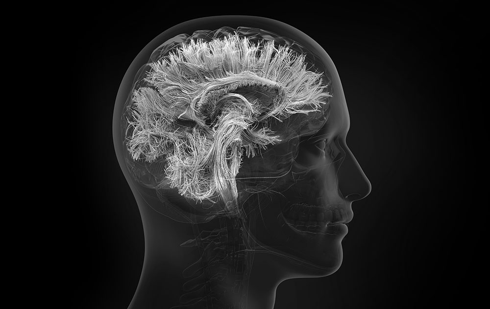 Overcome the limits of your mind with Shellix
